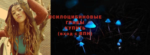 ПСИЛОЦИБИНОВЫЕ ГРИБЫ Алексеевка