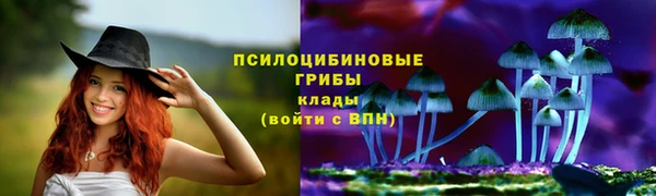 ПСИЛОЦИБИНОВЫЕ ГРИБЫ Алексеевка