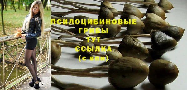 ПСИЛОЦИБИНОВЫЕ ГРИБЫ Алексеевка